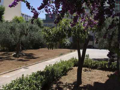 Usciamo e ci dirigiamo verso il giardino ordinato in grandi aiuole sulle quali cipressi e ulivi svettano nel segreto di questo cortile inaccessibile ai pi�